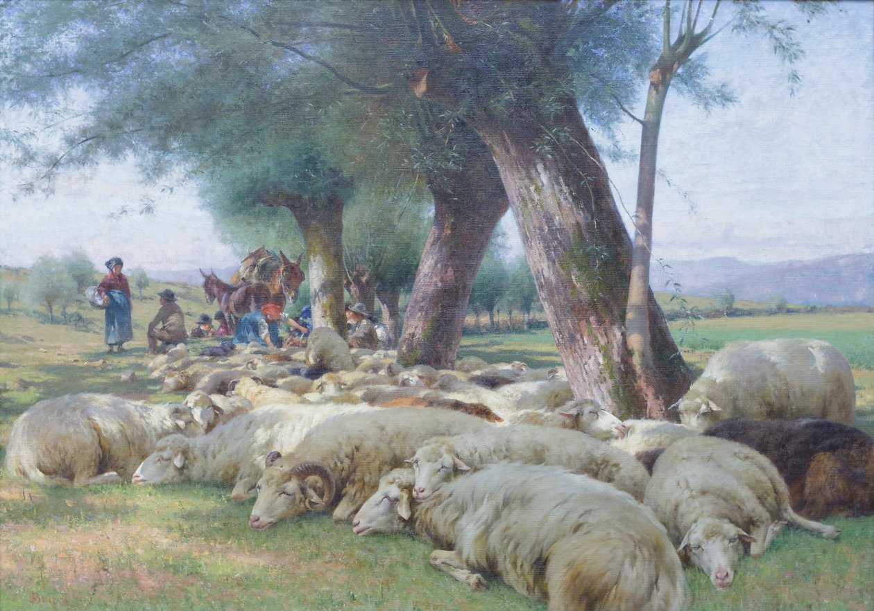 Ovelha em repouso, c.1900 (óleo sobre tela) de Stefano Bruzzi