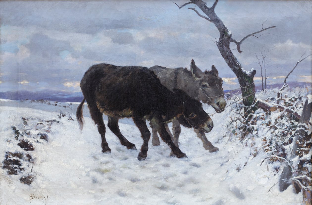 Os dois burros na neve de Stefano Bruzzi