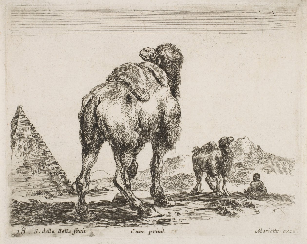 Camelo visto por trás, pub. 1641 de Diversi Animali de Stefano della Bella