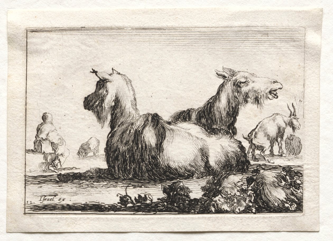 Caprichos: Duas cabras. de Stefano della Bella