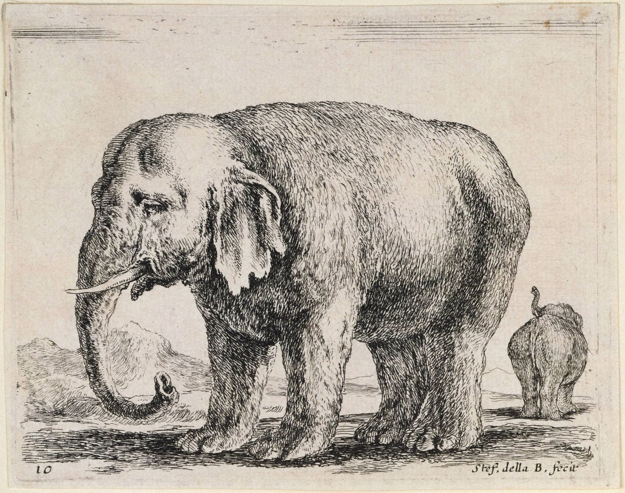 Elefante de Stefano della Bella