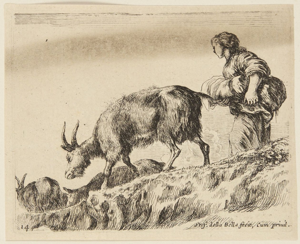 Cabras (Diversos animais, 14) de Stefano della Bella