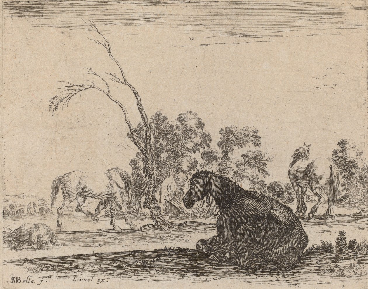 Cavalos em um pasto, 1642. de Stefano della Bella