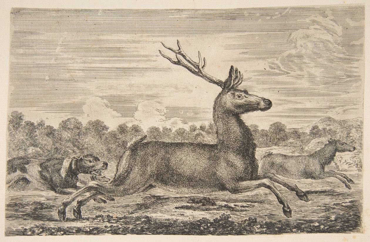 Cães perseguindo um veado e uma corça, ca. 1654 de Stefano della Bella