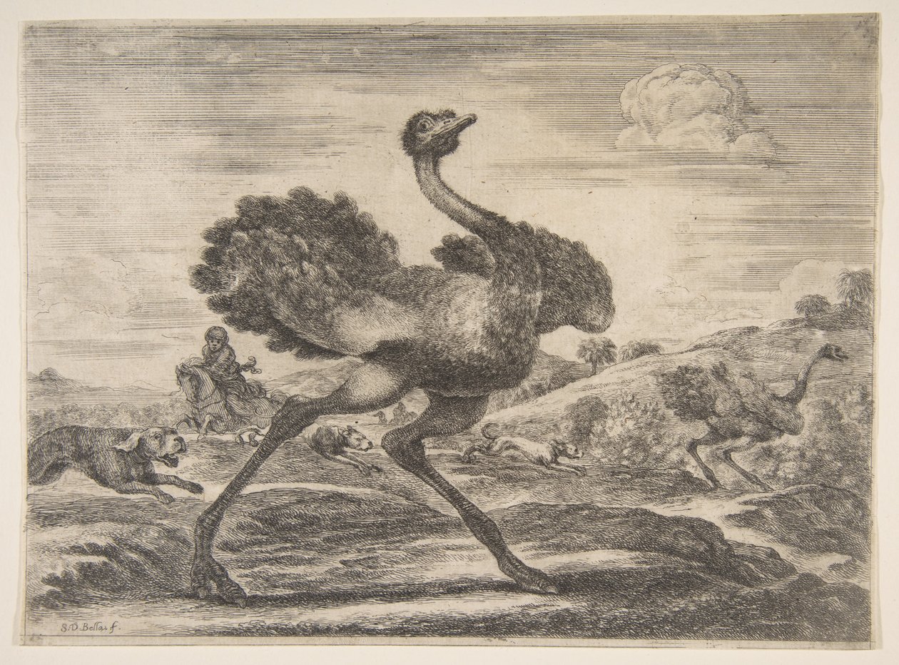Caça ao avestruz, de Caça de animais Caça de animais diferentes, ca. 1654 de Stefano della Bella