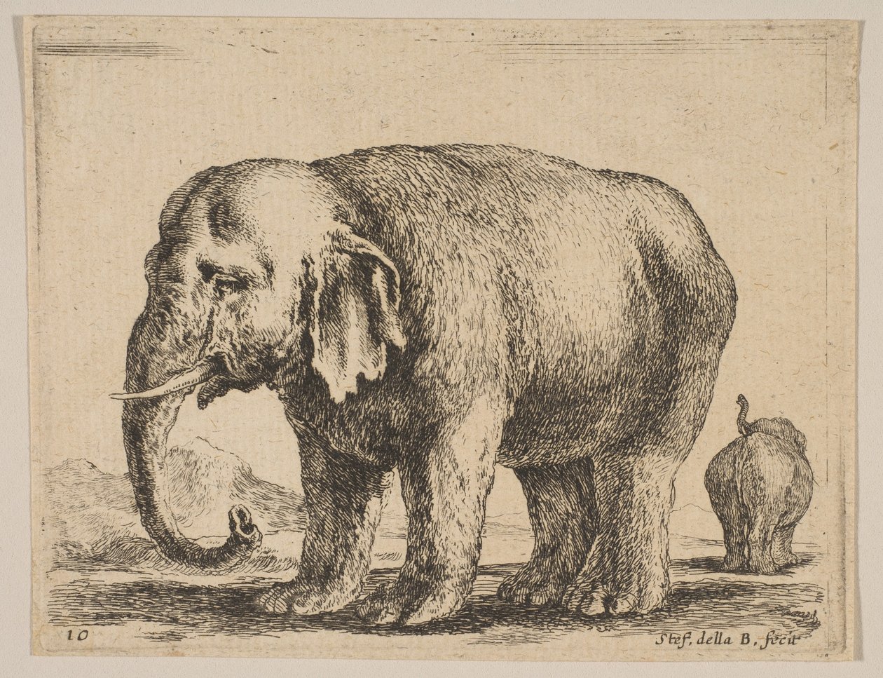 Ilustração 10: elefante, de vários animais Diversi animali, ca. 1641 de Stefano della Bella