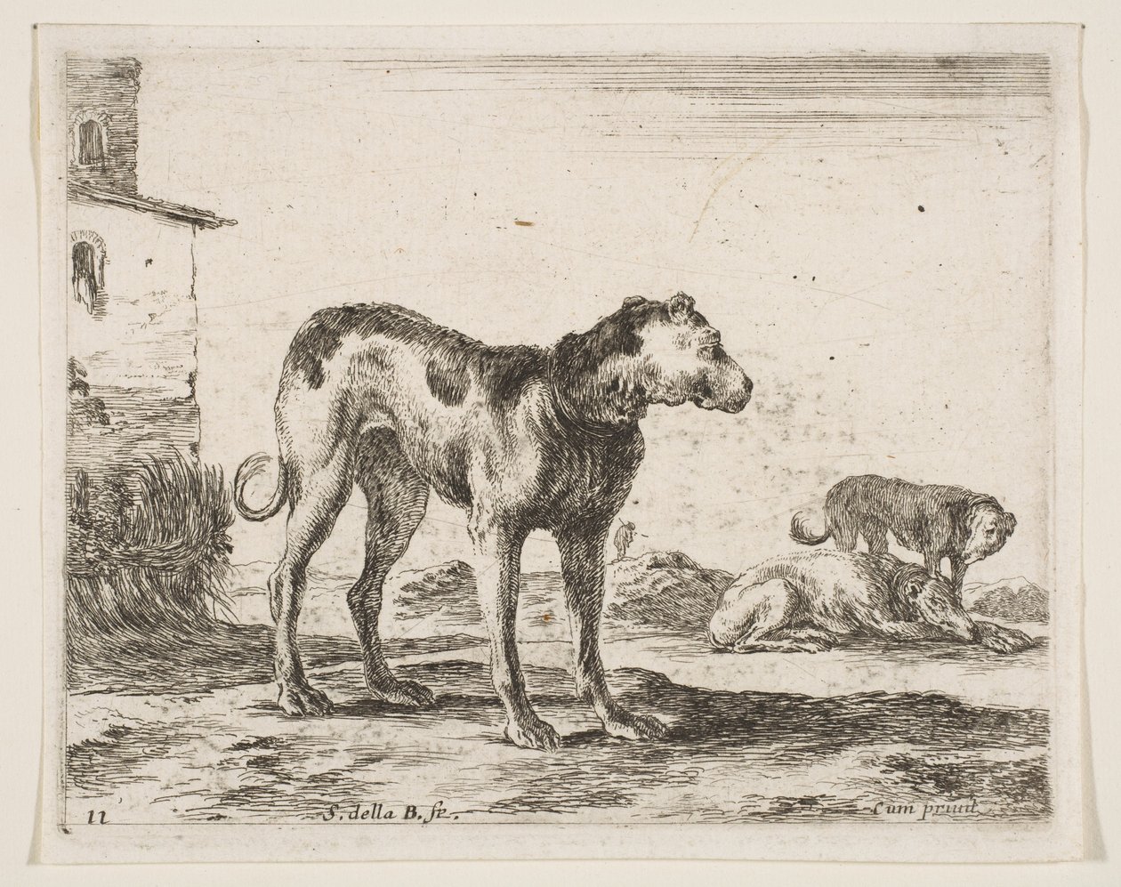 Ilustração 11: cães de vários animais Diversi animali, ca. 1641 de Stefano della Bella