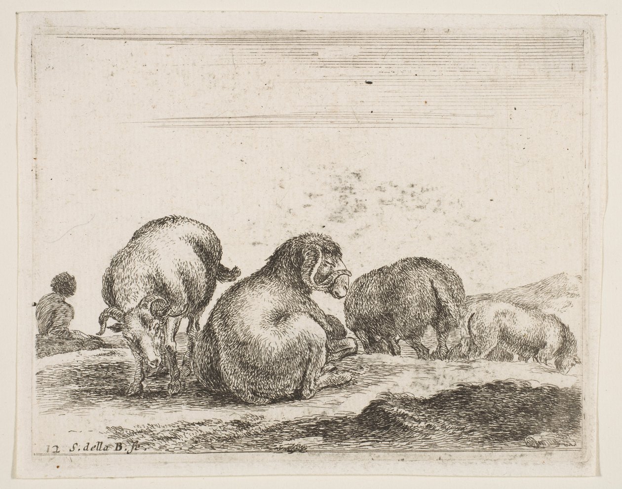 Ilustração 12: ovelha e carneiro no pasto, de Various animals Diversi animali, ca. 1641 de Stefano della Bella
