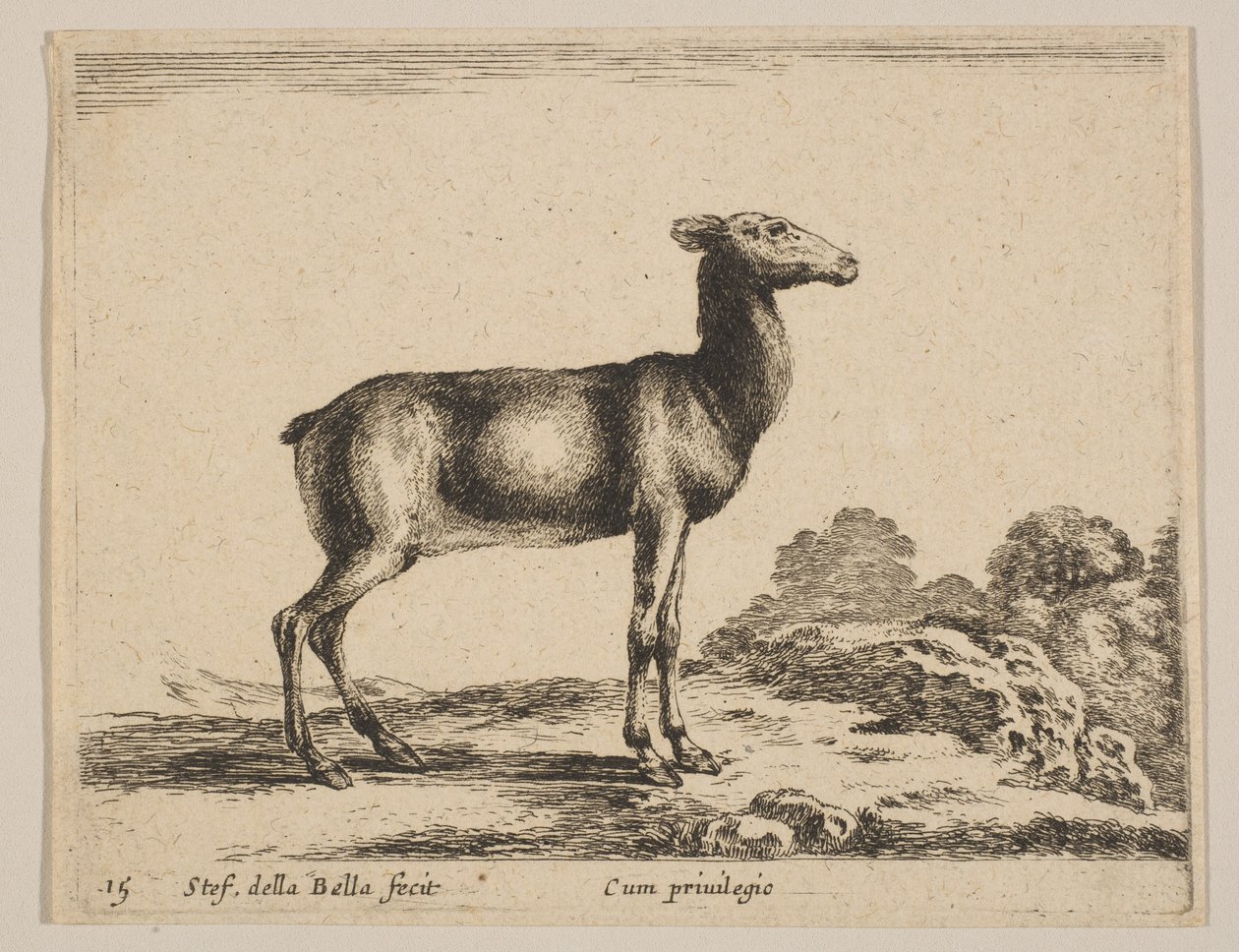 Placa 15: corça, de "Vários animais" Diversi animali, ca. 1641. de Stefano della Bella