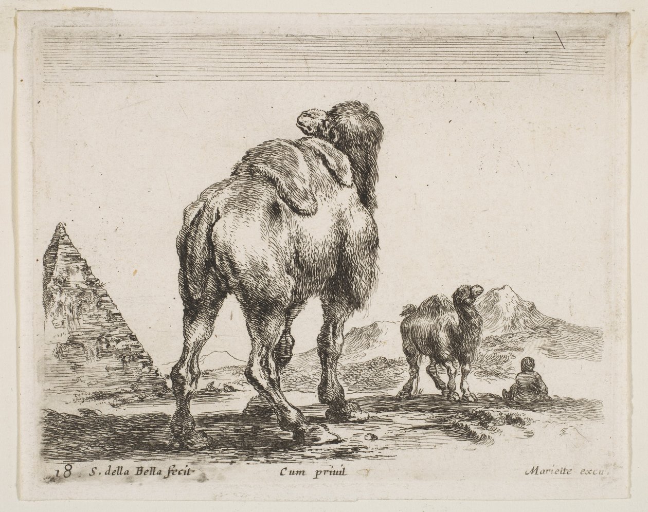 Ilustração 18: camelo visto de trás com pirâmide à esquerda, de Various animals Diver ..., ca. 1641 de Stefano della Bella