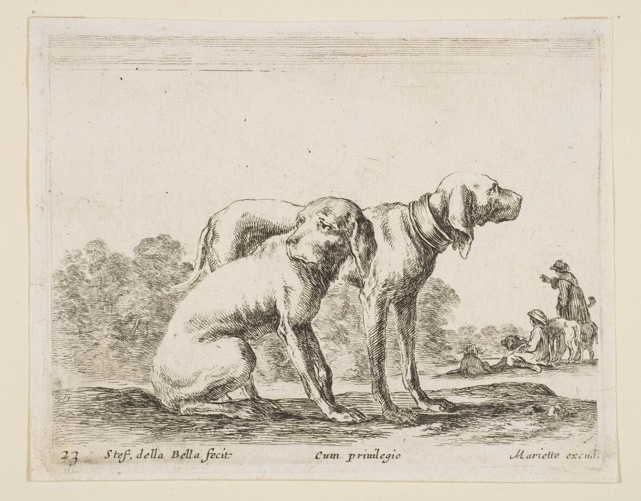 Ilustração 23: dois cães, de Various animals Diversi animali, ca. 1641 de Stefano della Bella