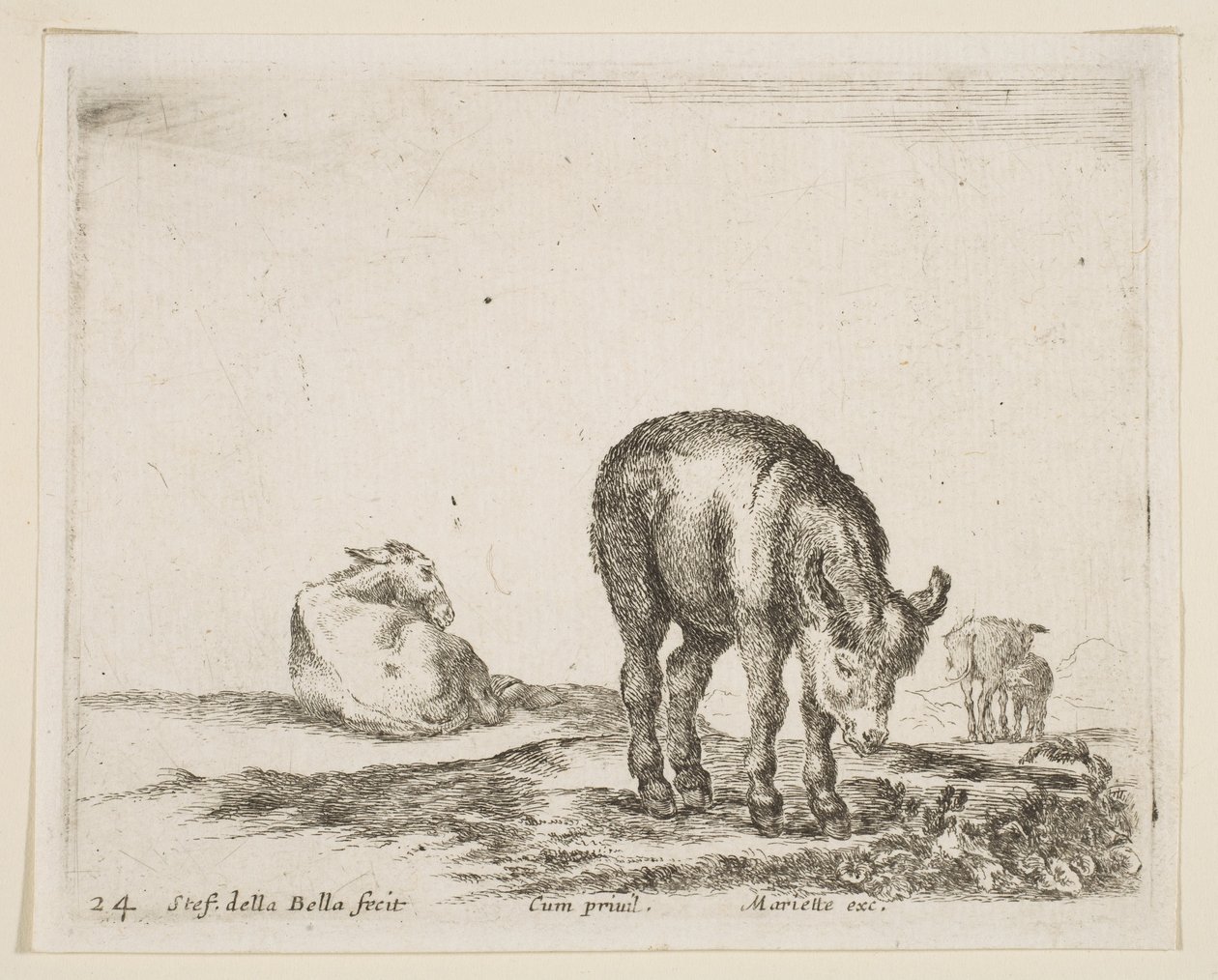 Ilustração 24: burros, de vários animais Diversi animali, ca. 1641 de Stefano della Bella