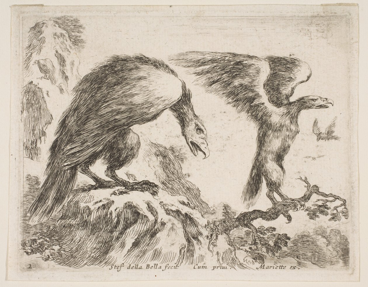 Ilustração 2: águia e aguia, de Various animals Diversi animali, ca. 1641 de Stefano della Bella