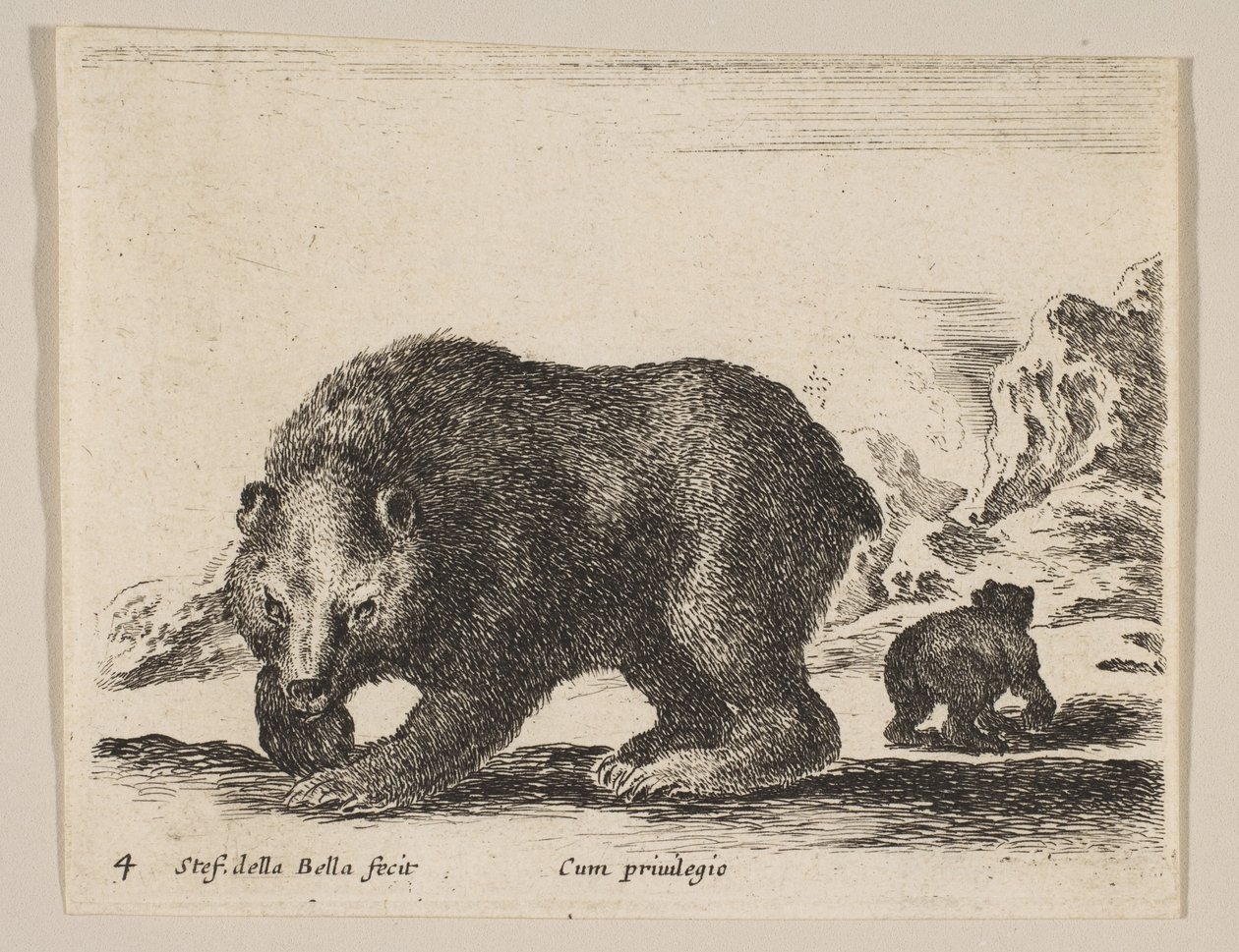 Placa 4: urso, de "Vários animais" Diversi animali, ca. 1641. de Stefano della Bella