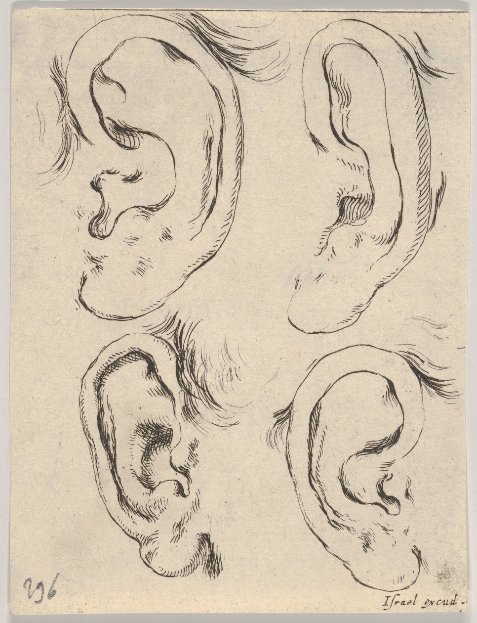 Ilustração 5: quatro orelhas, do Livro para aprender a desenhar livre pour apprendre à dessi ..., ca. 1649 de Stefano della Bella