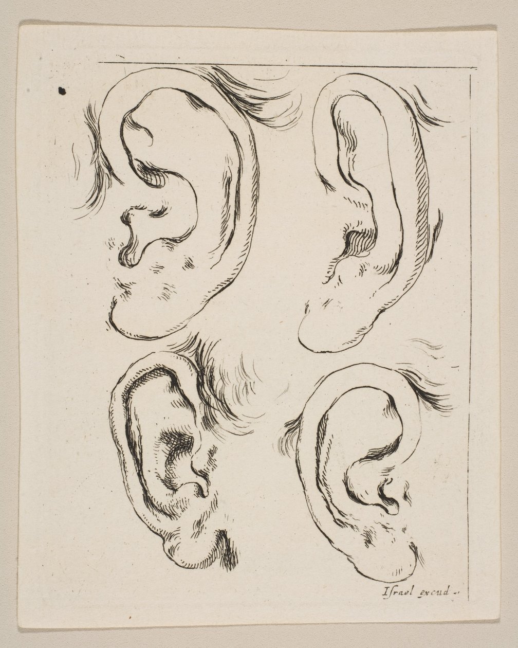 Ilustração 5: quatro orelhas, do Livro para aprender a desenhar livre pour apprendre à dessi ..., ca. 1649 de Stefano della Bella