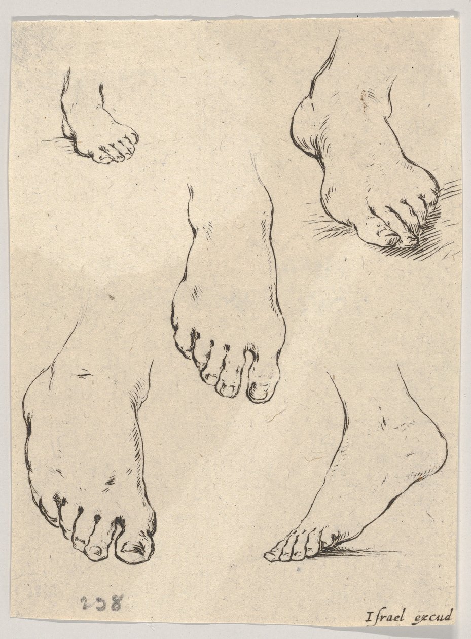 Ilustração 7: Cinco pés, do Livro para aprender a desenhar livre pour apprendre à dessi ..., ca. 1649 de Stefano della Bella