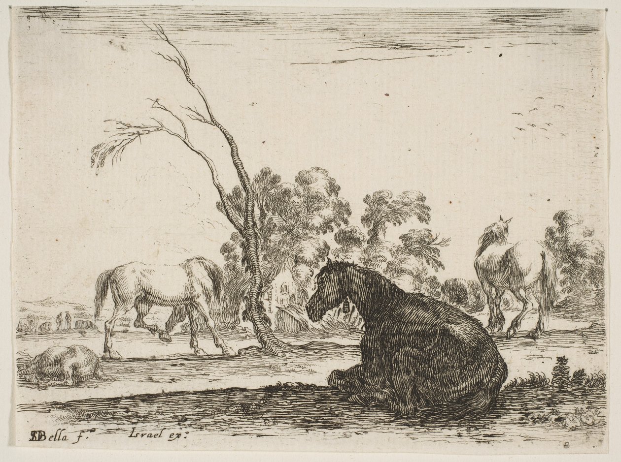 Ilustração 8: um cavalo sentado à direita, visto por trás e virado para a esquerda, três outras hor ..., 1642. de Stefano della Bella