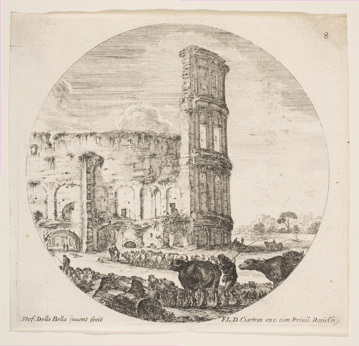 Ilustração 8: o Coliseu, dois rebanhos sendo direcionados para o anfiteatro no foreg ..., ca. 1646 de Stefano della Bella