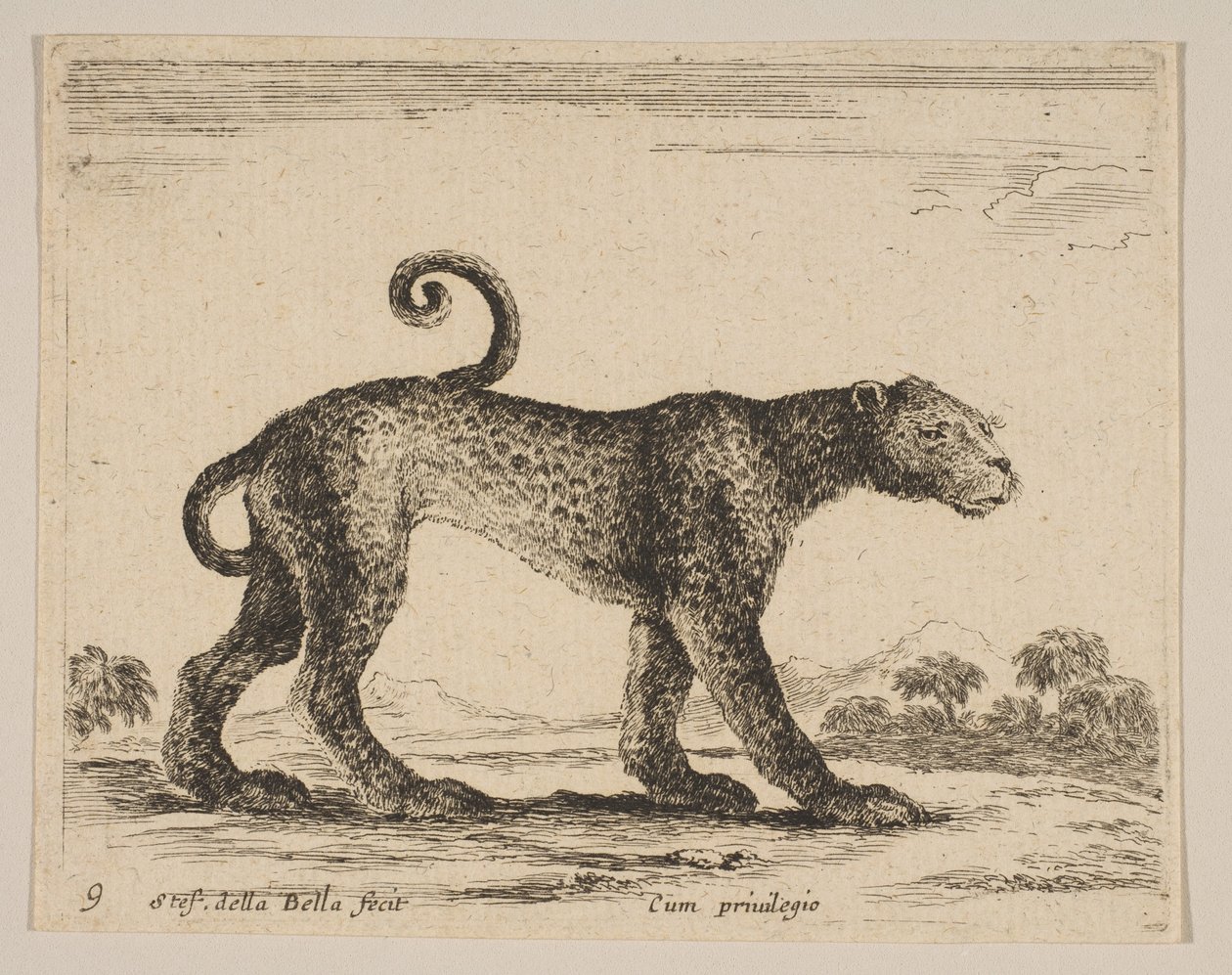 Ilustração 9: leopardo, de vários animais Diversi animali, ca. 1641 de Stefano della Bella
