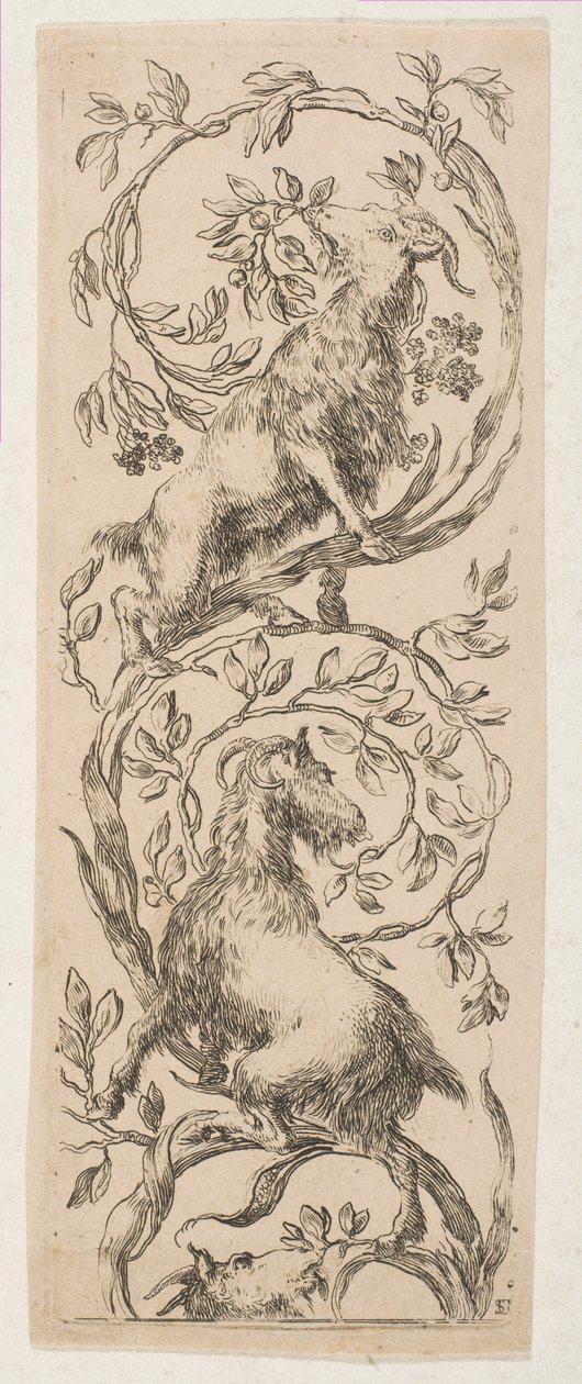 Duas cabras mordiscando galhos, ca. 1653. de Stefano della Bella