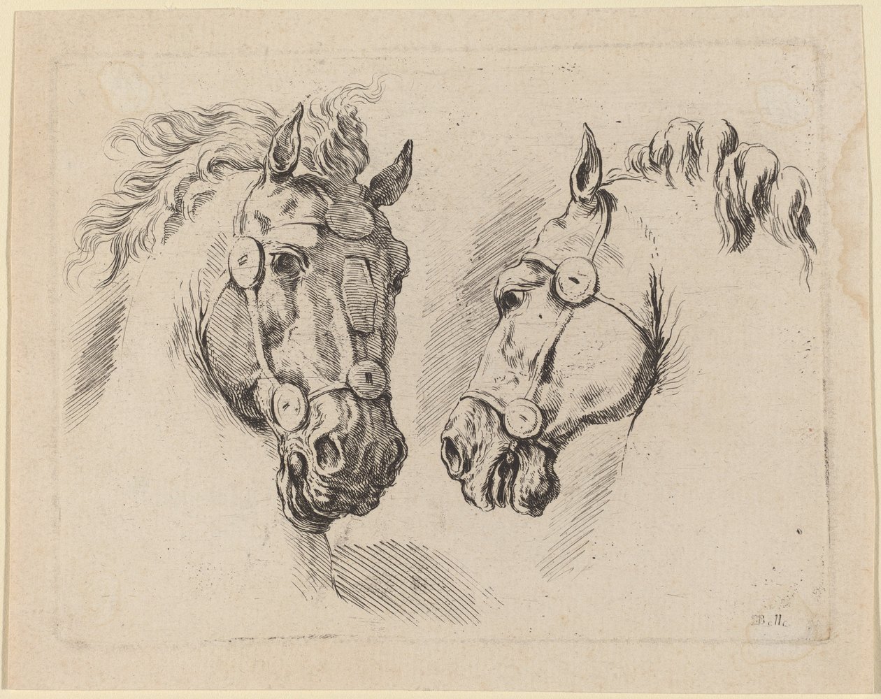 Duas cabeças de cavalo de Stefano della Bella