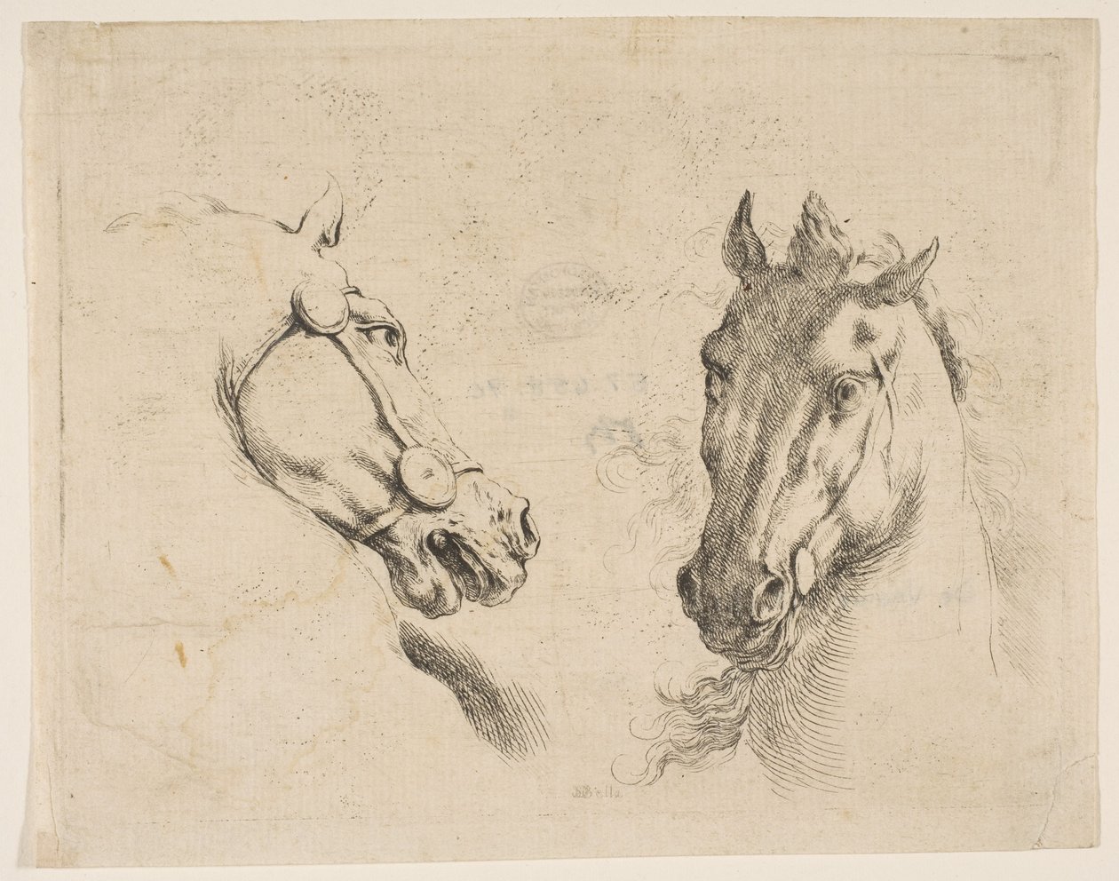 Duas cabeças de cavalo, ca. 1649 de Stefano della Bella