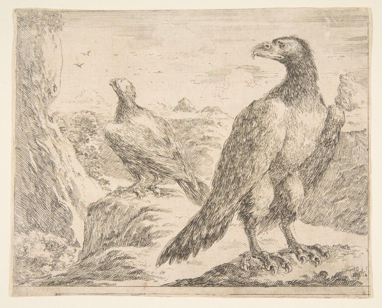 Duas águias, de Eagles Les aigles, ca. 1651 de Stefano della Bella