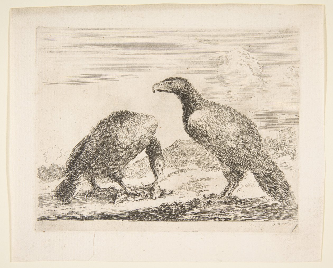 Duas águias, uma devorando um cordeiro, de Eagles Les aigles, ca. 1651 de Stefano della Bella