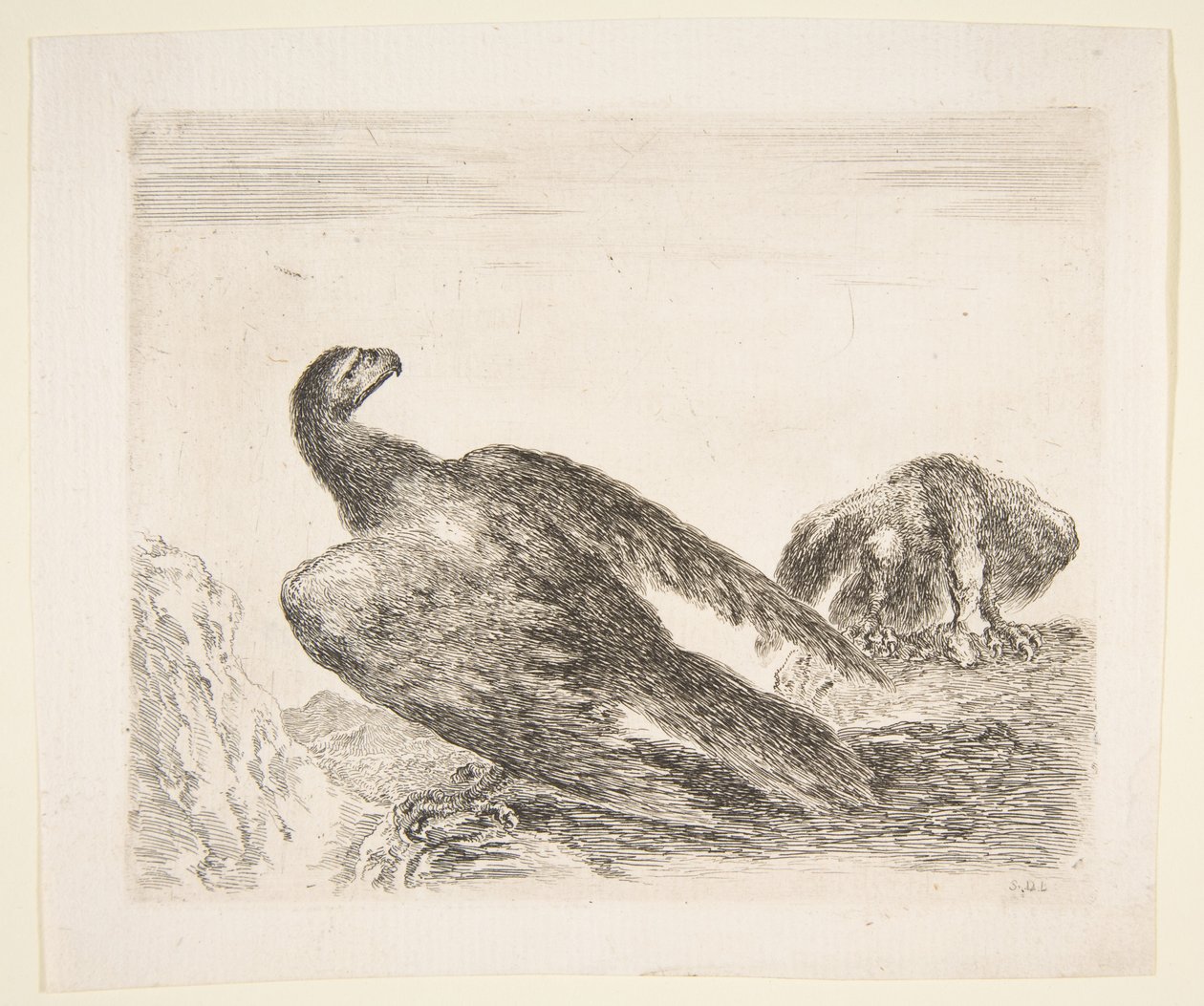 Duas águias, uma com presas, de Eagles Les aigles, ca. 1651 de Stefano della Bella