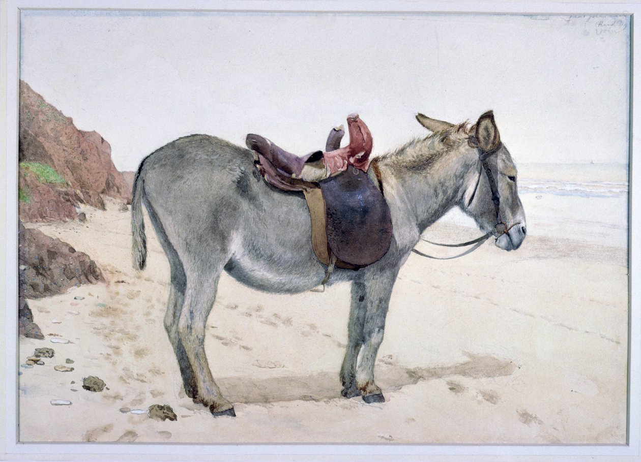 Estudos de Animais (S.Ex.2-1885) de Stephen Briggs Carlil