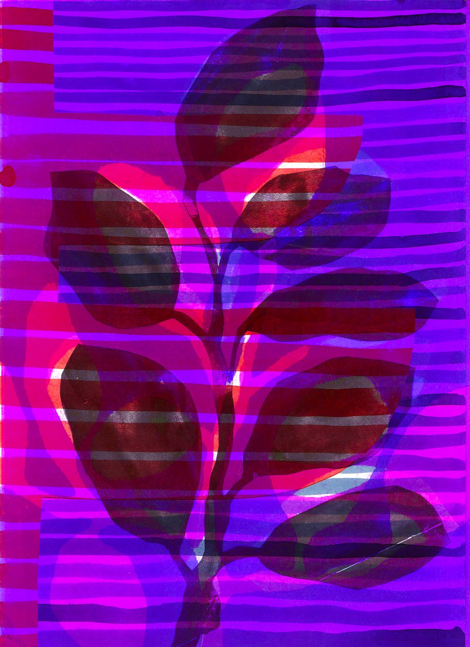 Risca botânica I, 2018 (digital) de Stephen Dow