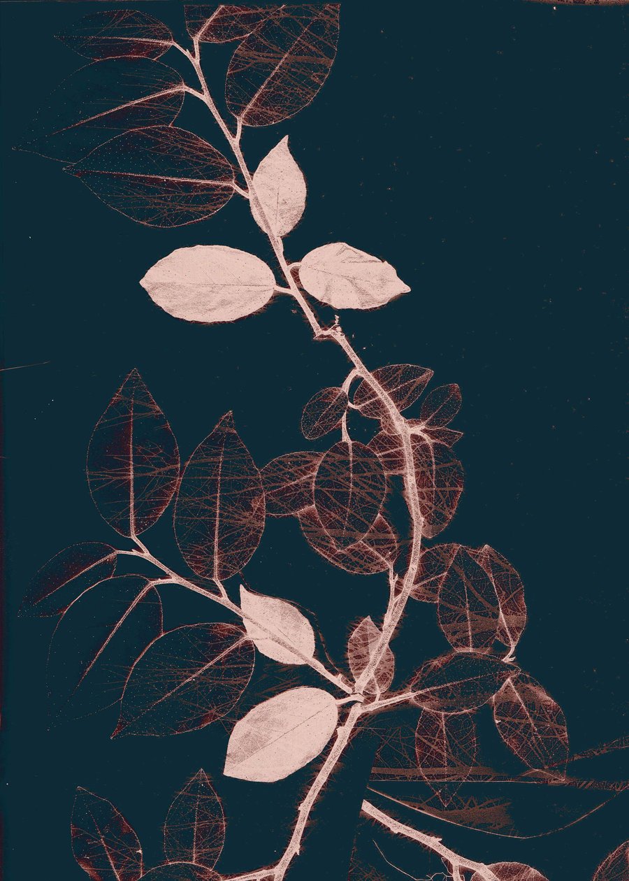 Freyr VII Cobre escuro, 2018 (digital) de Stephen Dow