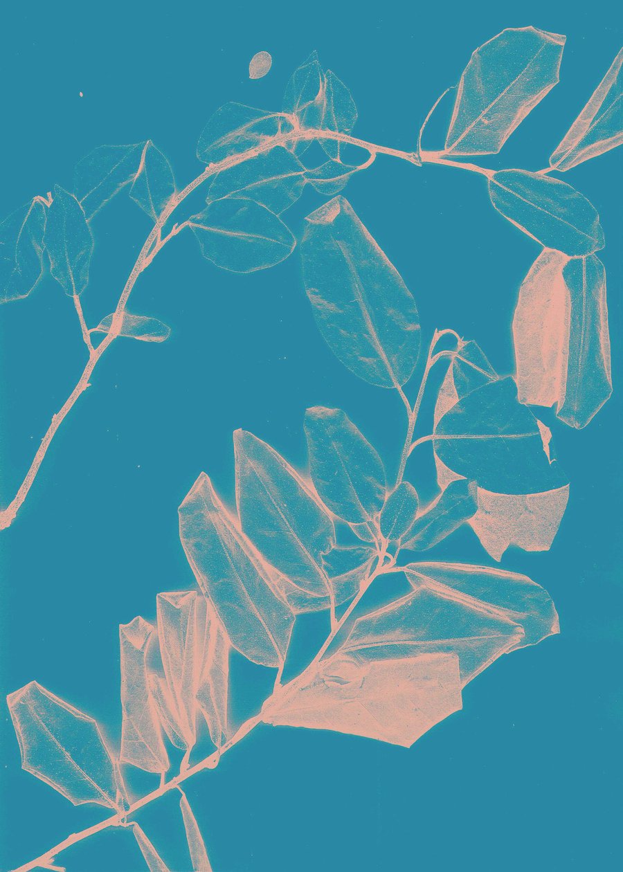 Freyr VI Amanhecer, 2018 (digital) de Stephen Dow