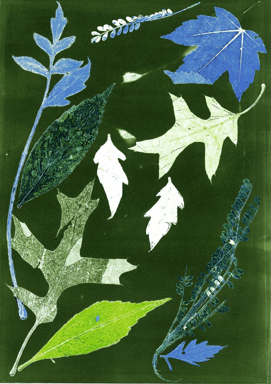 Jol X verde, 2017 (digital) de Stephen Dow