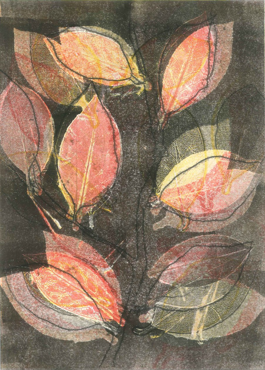 Jardim da meia-noite V, 2015 (mono-impressão sobre papel) de Stephen Dow