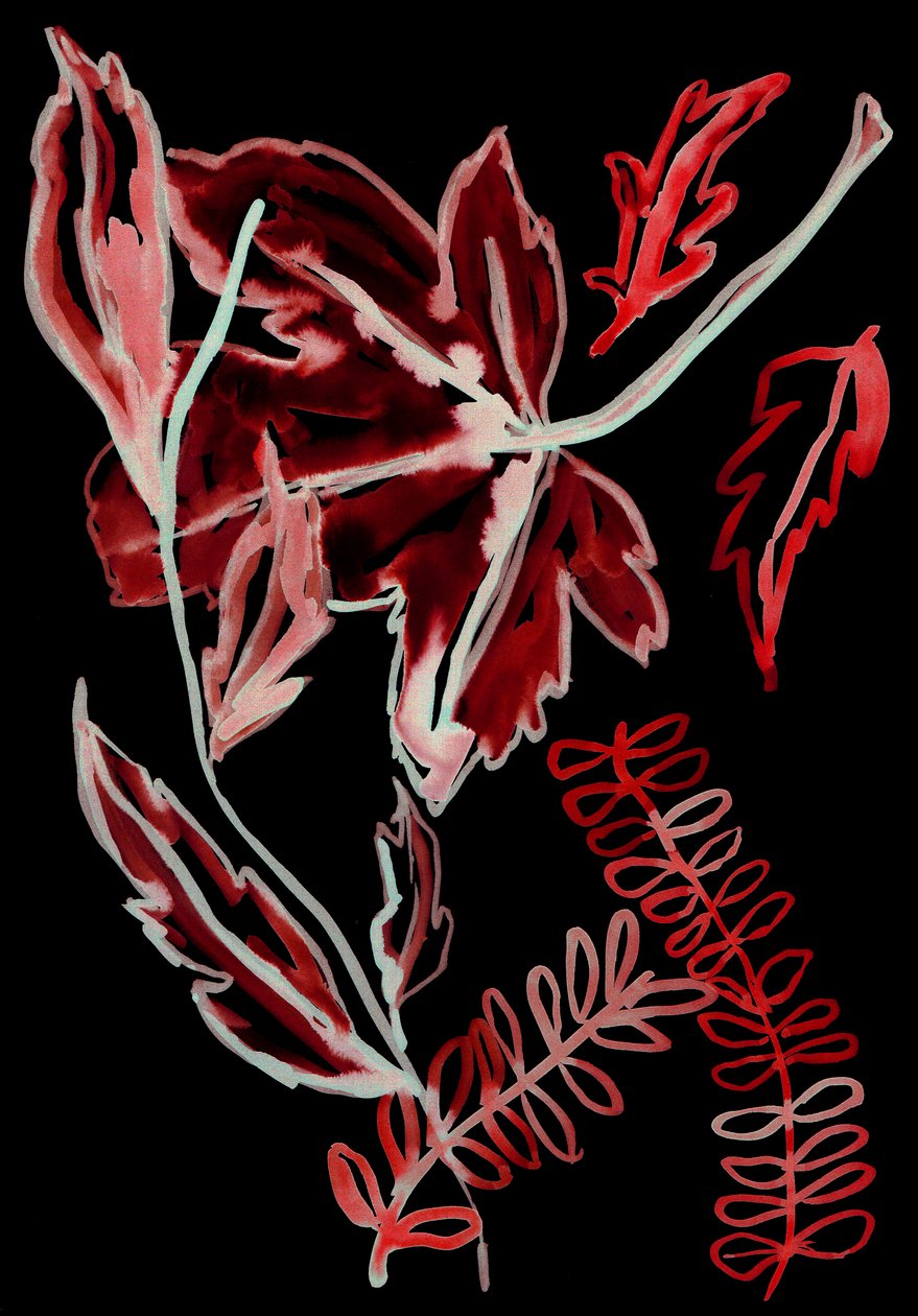 Flora Nocturna I, 2018 (digital) de Stephen Dow