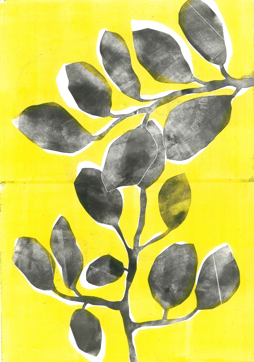Jardim de verão IV, 2015 (mono-impressão sobre papel) de Stephen Dow