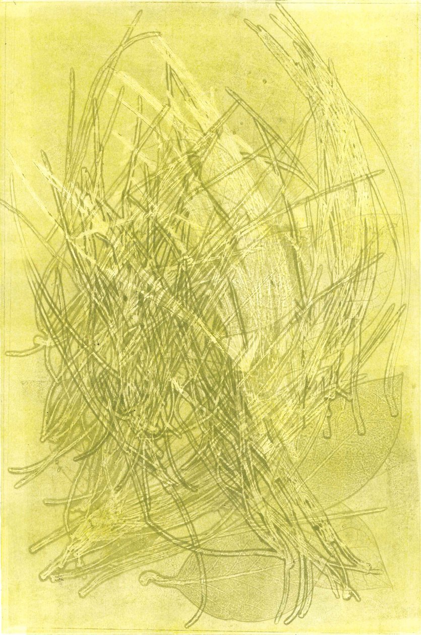 Jardim de verão V, 2015 (mono-impressão sobre papel) de Stephen Dow