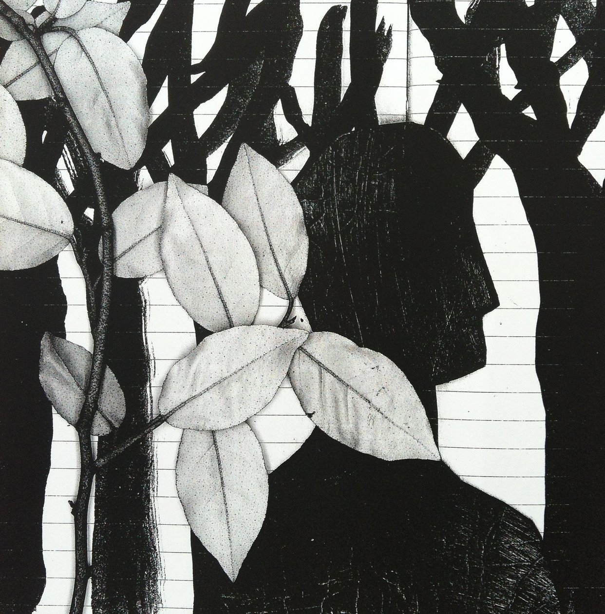 O Bosque, 2014 (colagem) de Stephen Dow