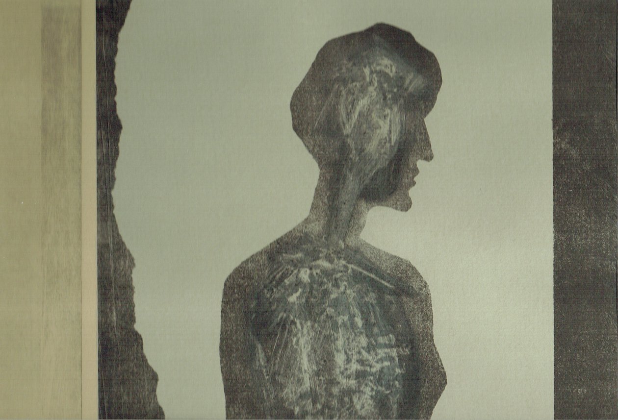 la Foret XII, 2017 (colagem) de Stephen Dow