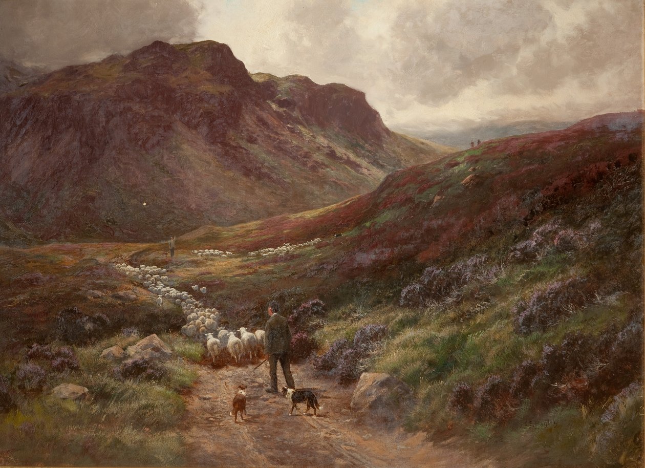 Panorama de Stephen Enoch Hogley