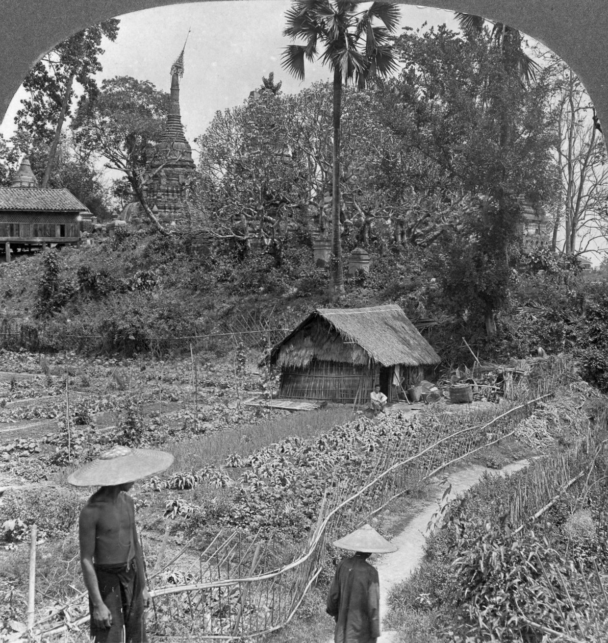 Uma horta em meio a pagodes, Bhamo, Birmânia, 1908 de Stereo Travel Co
