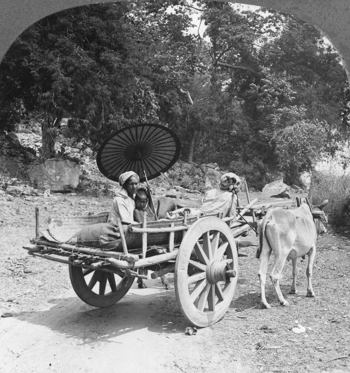 Família viajando pela selva perto de Mingun, Birmânia, 1908 de Stereo Travel Co