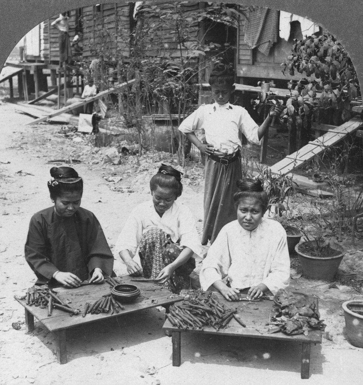 Fazendo os enormes charutos fumados por mulheres, Birmânia, 1908 de Stereo Travel Co