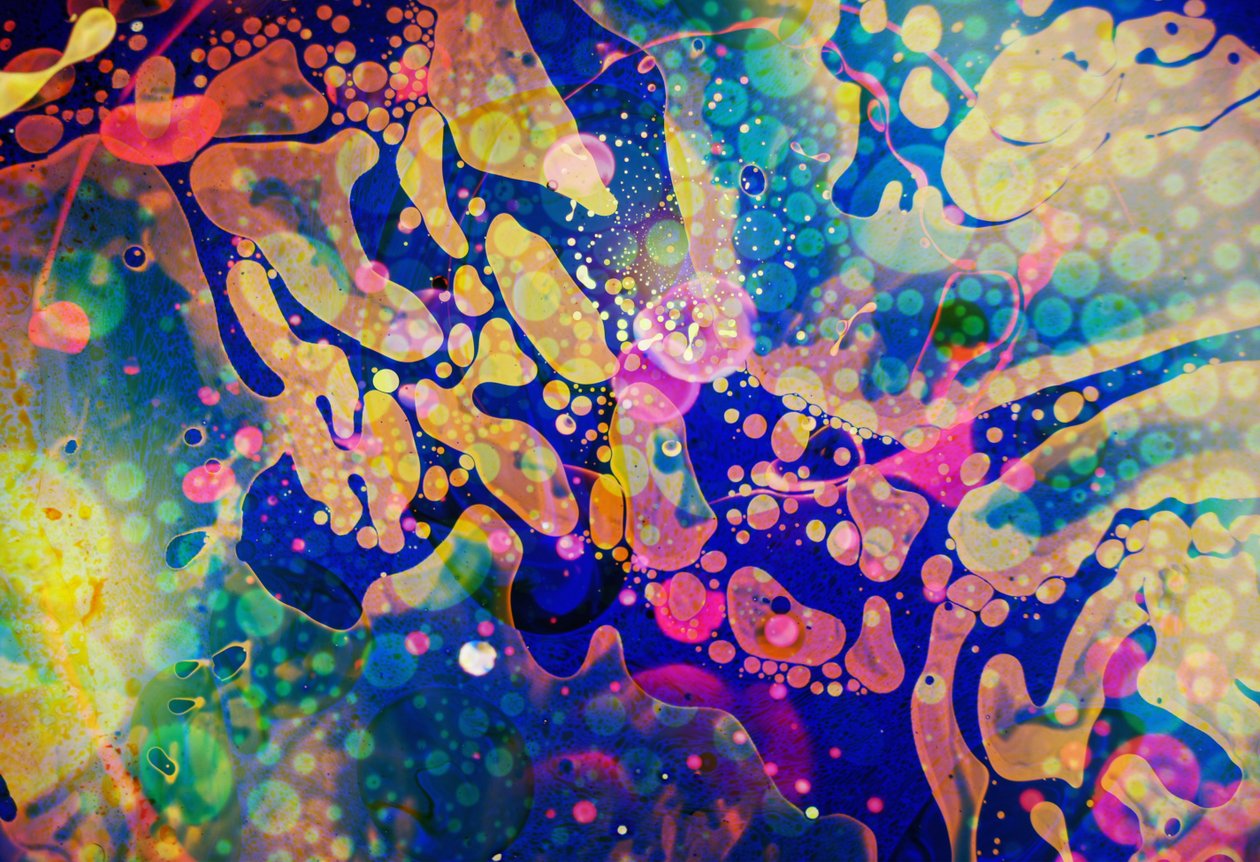 Composição n.º 3, 2024 de Steve Pavlovsky