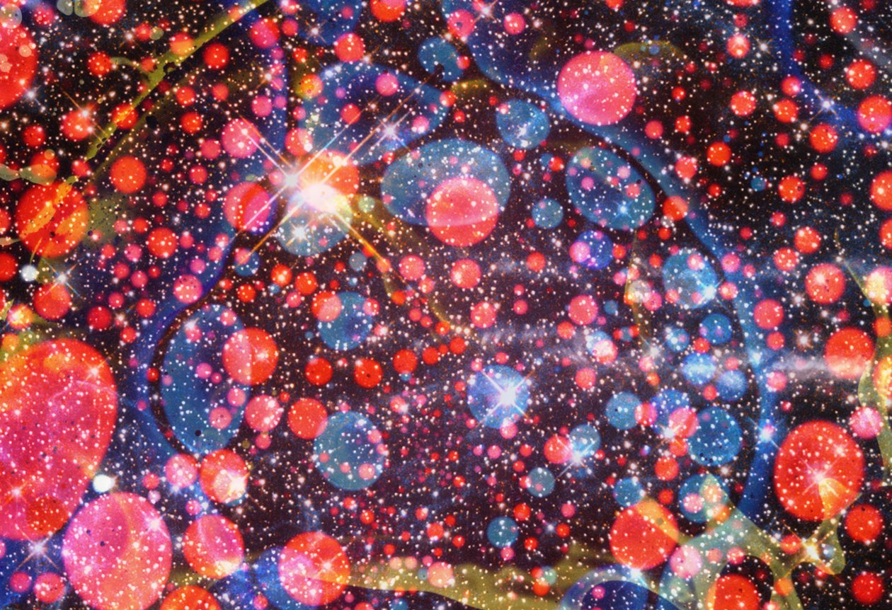 Multiverso #6, 2024 de Steve Pavlovsky
