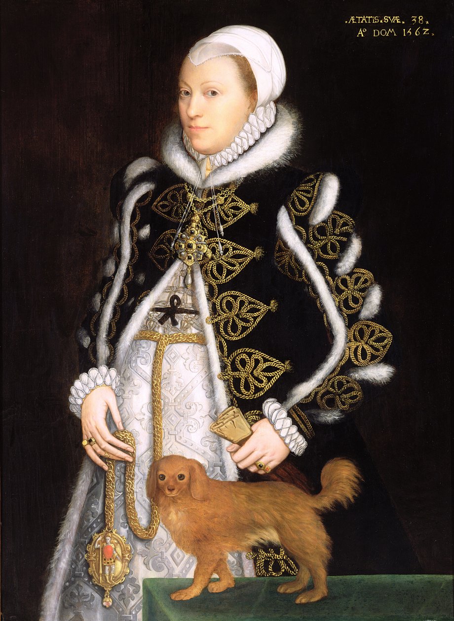 Retrato de uma mulher, provavelmente Catherine Carey, Lady Knollys de Steven van der Meulen