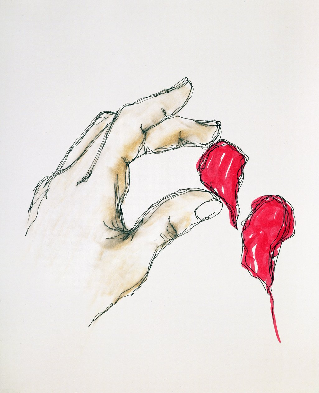 Um pedaço do seu coração, 1996 (caneta e wc no papel) de Stevie Taylor