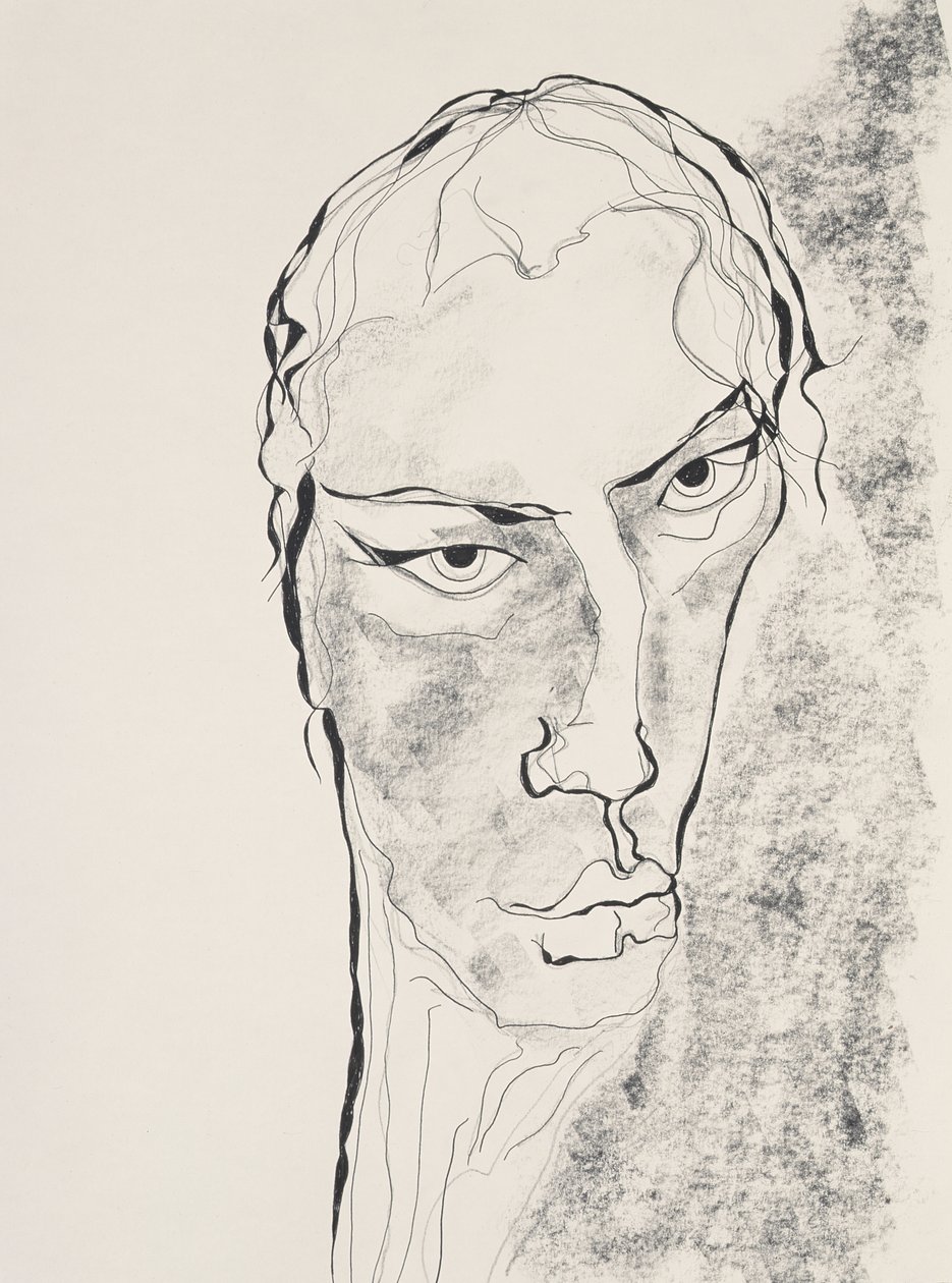 Donna Dee, 1998 (tinta e lápis sobre papel) de Stevie Taylor